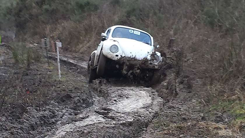 1802NorthernSandaleNicola